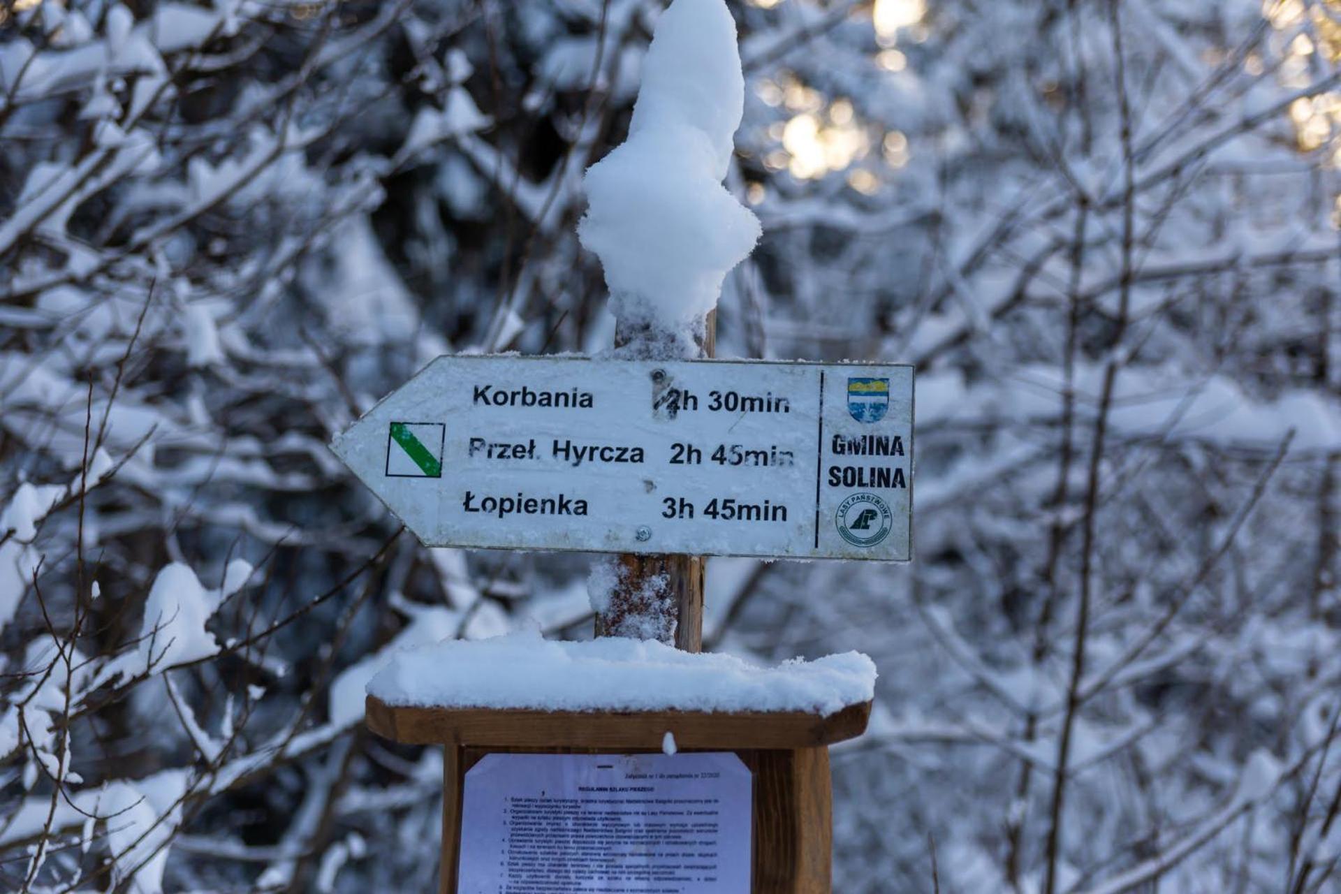Połoniny Nocleg ze śniadaniem Bukowiec (Podkarpackie)